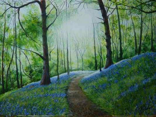 Bluebell wood 800at72jpeghighQ60-176
