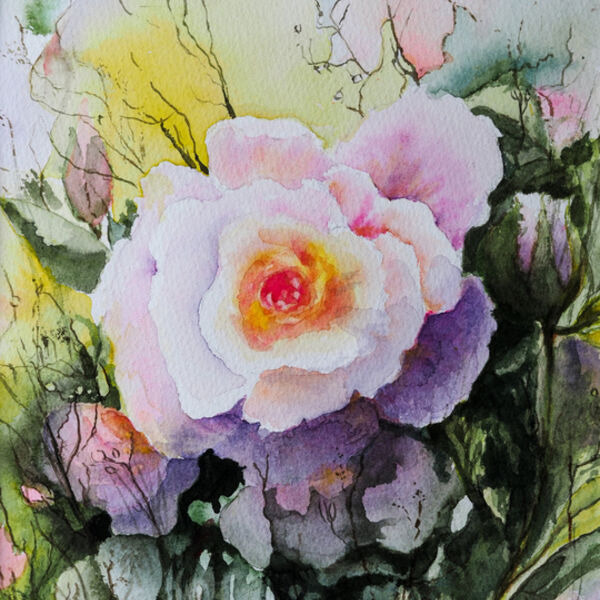 Lockdown Rose