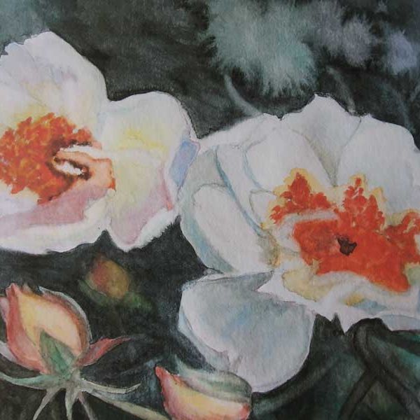 Roses