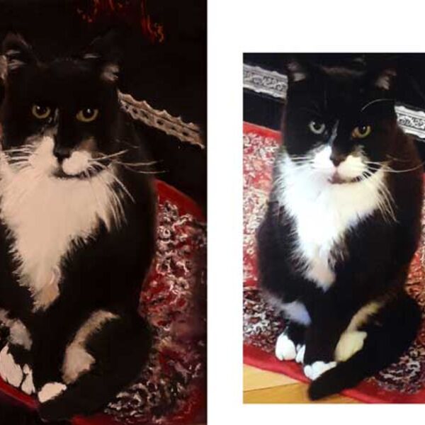 Dougal