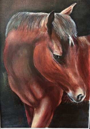 Horse Portrait