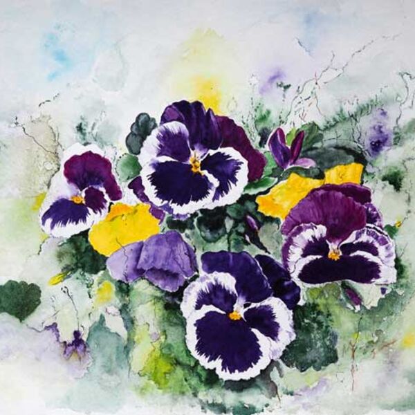 COMMENDED - Summertime