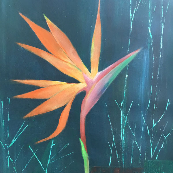Bird of Paradise