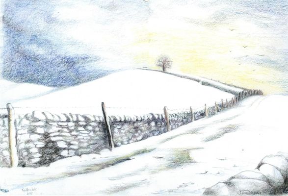 A Walk in the Snow