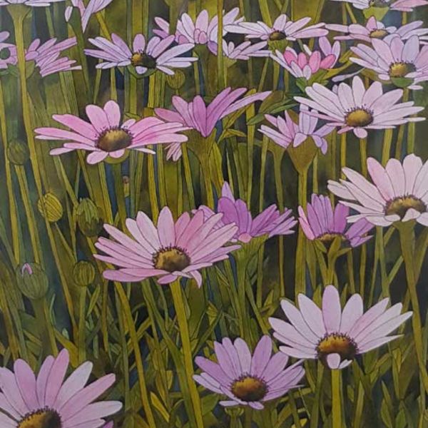 Flowers in the meadow