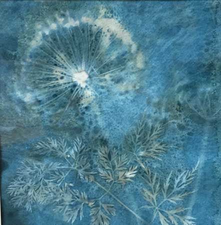 Flora
