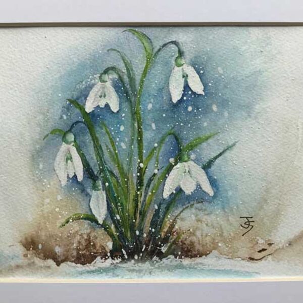 Snowdrop