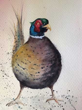 Well fed Fred the pheasant