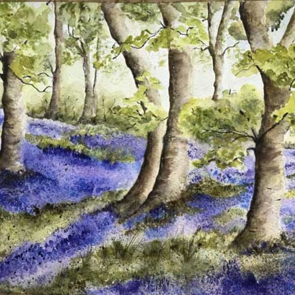 Bluebell Woods - after Peter Woolley