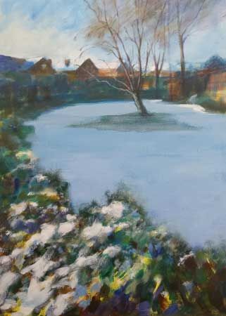 Suburban Snowfield