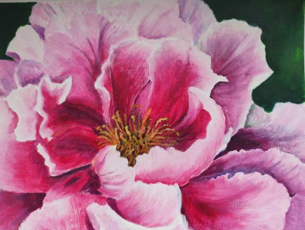 Peony