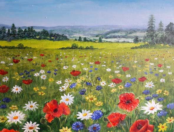 Wild Flower Meadow