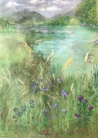 Wildflowers & Grasses