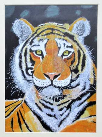 Tiger Spartacus