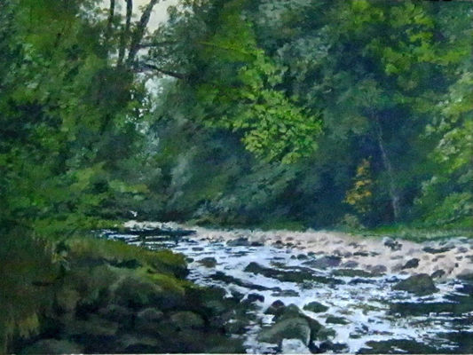 Roeburndale summer