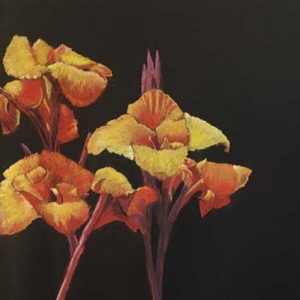 Lilies