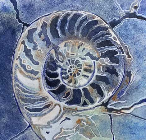 Ammonite