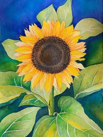 Sunflower of Hope