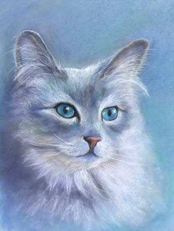 Fluff