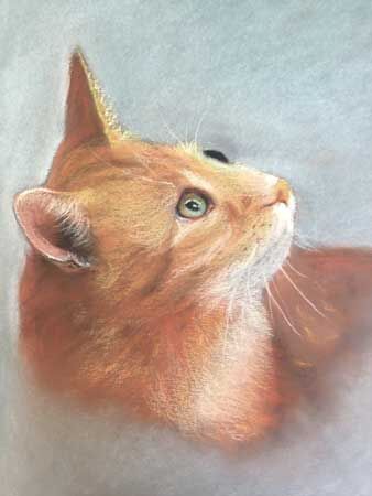 Kitty