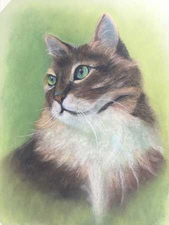 COMMENDED - Frankie