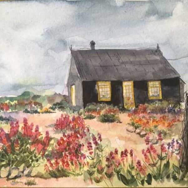 Prospect Cottage