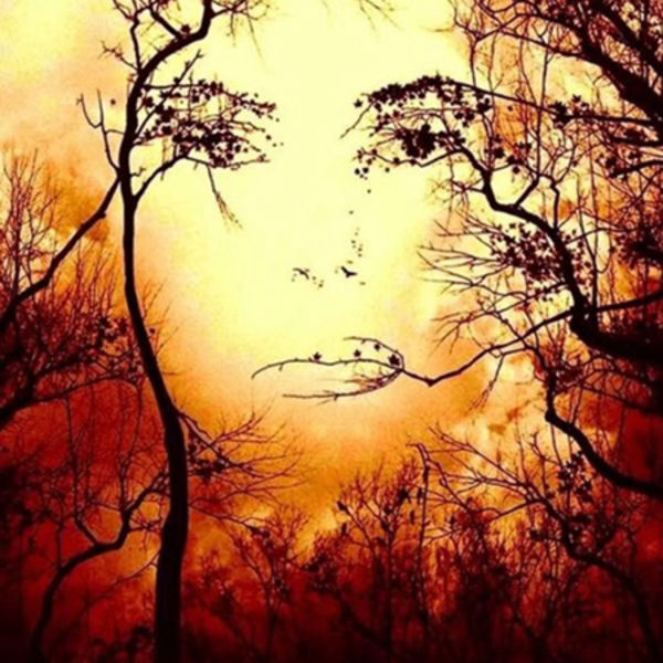 Through the Eyes of a Tree
