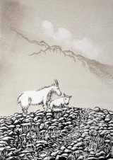 Mountain Goats
