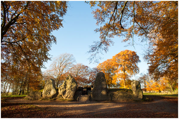 Waylands Autumn