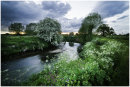 HAWTHORN ON THE ARROW