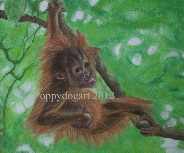 The cheeky monkey