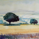 Hot day on the South Downs