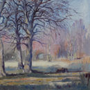 Autumn sun in Richmond Park