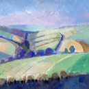 South Downs afternoon