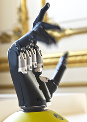 Bionic hand