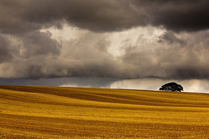 Dorset