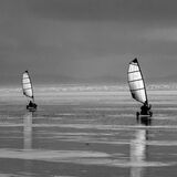 Sails in the Sunset.