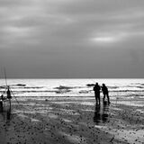 Contre-Jour..