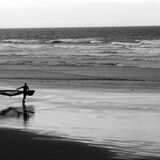 Shadow Dancer.