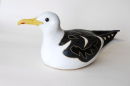 black backed gull