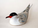Arctic Tern