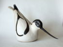 avocet2