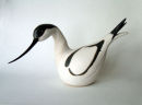 avocet1