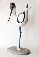 Avocet