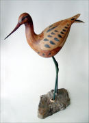 black tailed godwit