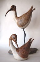 curlews