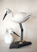 Pair of Egrets