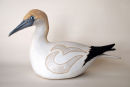 Gannet