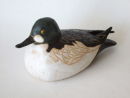 goldeneye