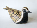 golden plover